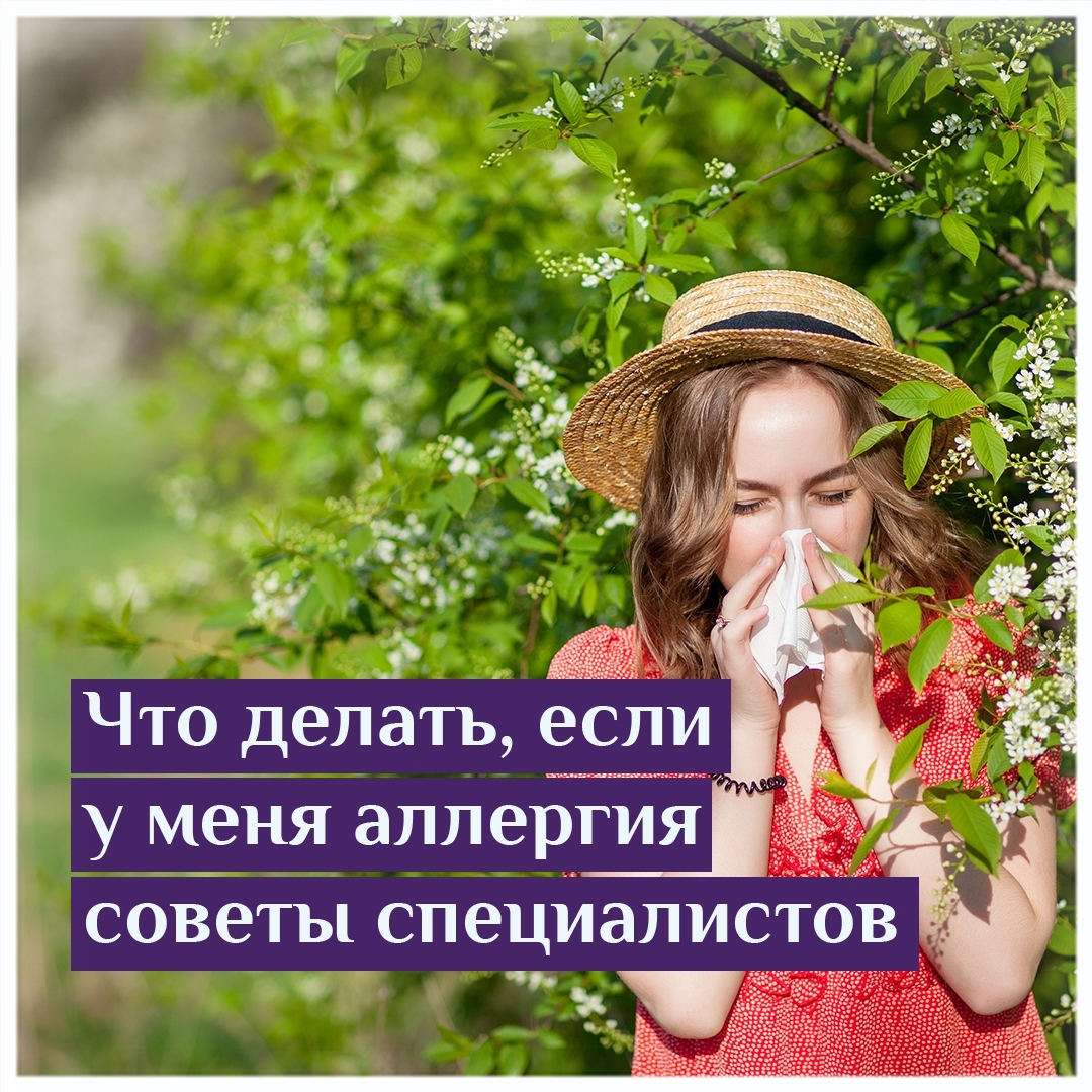 Что делать если у меня аллергия советы специалистов