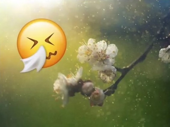 Насморк у смайлика